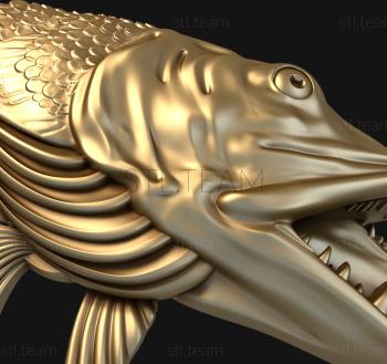 3D model Pike's head (STL)